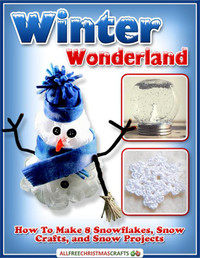 Winter Wonderland: How to Make 8 Snowflakes, Snow Crafts and Snow Projects