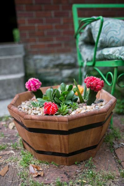 Succulent DIY Garden Projects | AllFreeHolidayCrafts.com