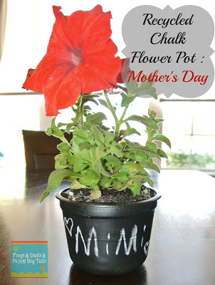Recycled Homemade Flower Pots for Mothers Day