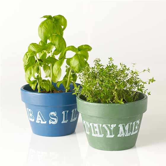 Chalkboard Herb Pots