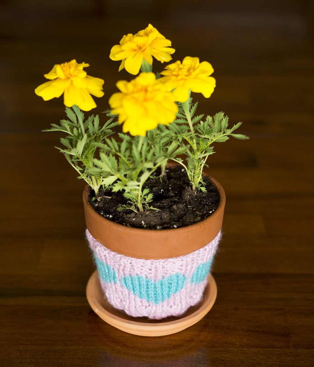 Heart Flower Pot Cozy AllFreeKnitting com Heart Flower Pot Cozy AllFreeKnitting com