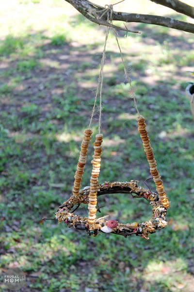 DIY Bird Feeder Buffet