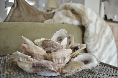 Nautical Oyster Shell Candle Holder