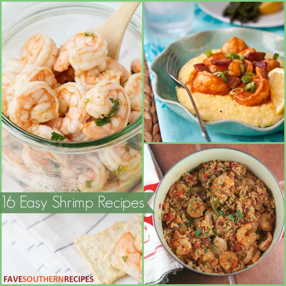 16 Easy Shrimp Recipes | FaveSouthernRecipes.com