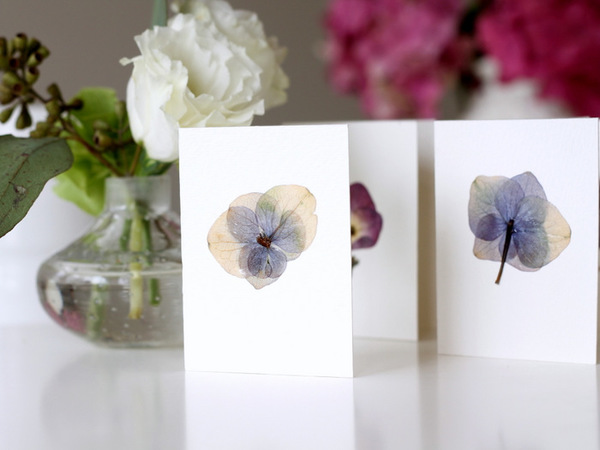 Pressed Hydrangea Cards