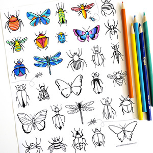 Bugs And Butterflies Coloring Page