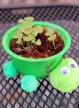 Kid Made Turtle Herb Planters