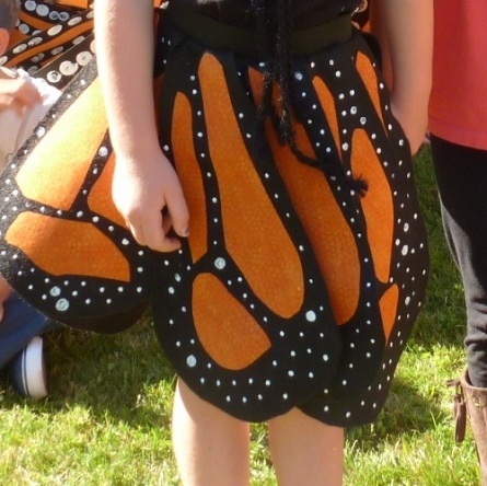 DIY Butterfly Costume