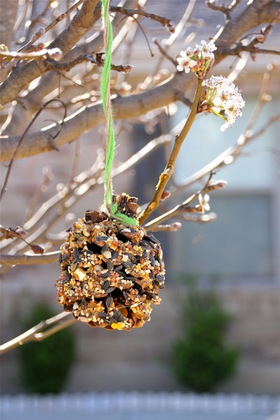 Quick Pine Cone Bird Feeders