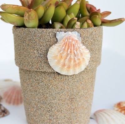Beachy Sand Covered Flower Pots