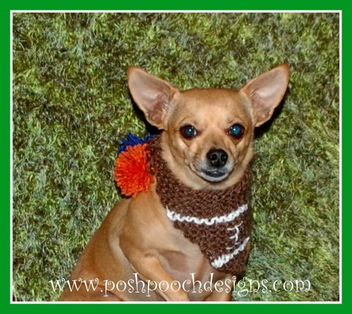 Touchdown Dog Bandana