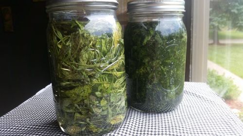 Homemade Herb Oils