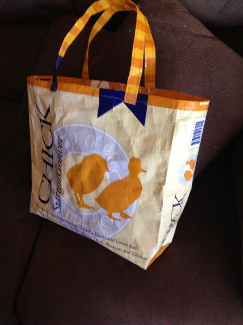 Rustic Upcycled DIY Grocery Bag