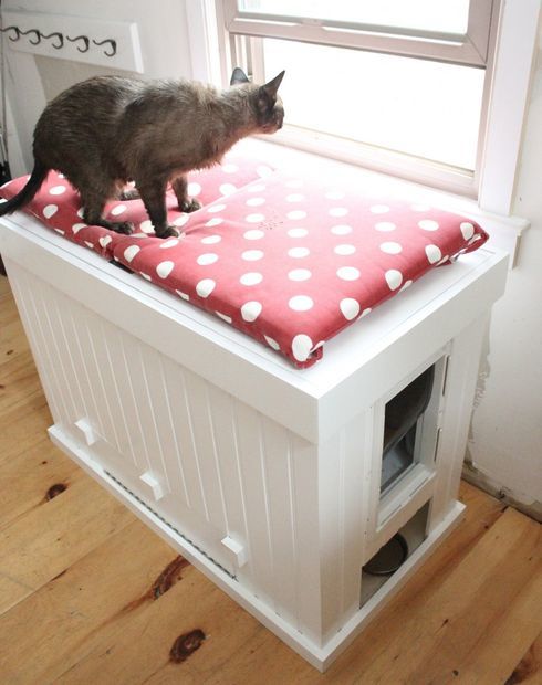 DIY Litter Box and Bench