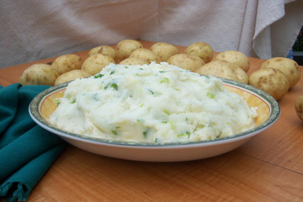 Champ Potatoes