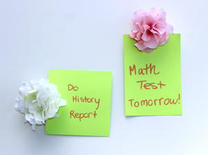 Silk Flower Magnetic Clips