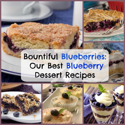 Bountiful Blueberries: Our Best Blueberry Dessert Recipes