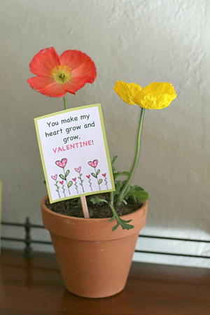Printable Seed Packet Valentines