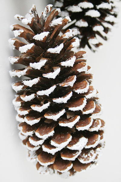 Breathtaking Frosted Pinecone Decor