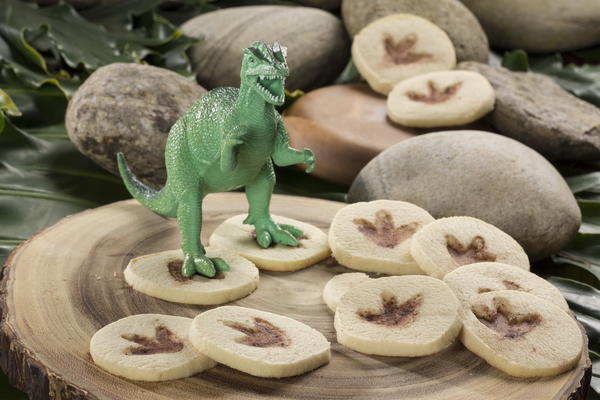 Fossil Cookies