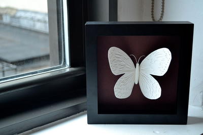 Framed Paper Butterfly