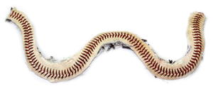 Baseball Bracelet Baseball Bracelet