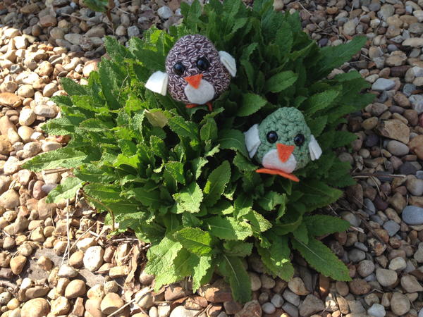 Mini Crochet Birds 