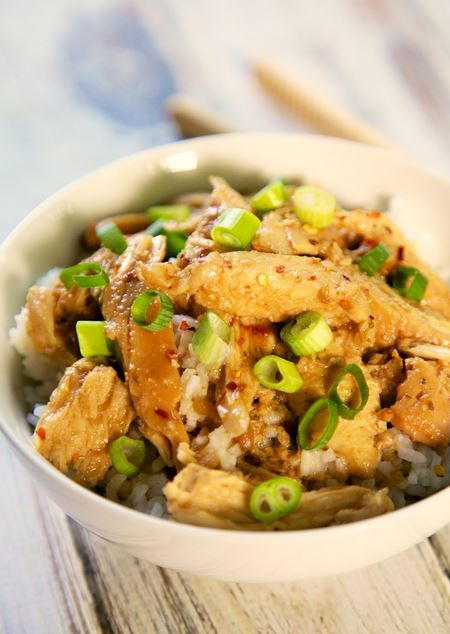 Honey Teriyaki Chicken Freezer Meal