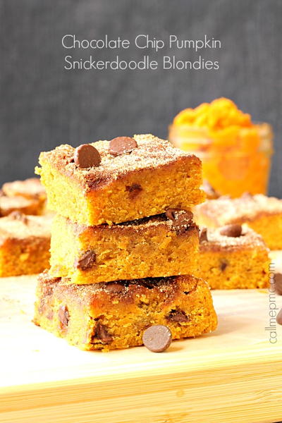 Chocolate Chip Pumpkin Snickerdoodle Blondies