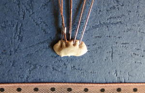 3D Flower Vase Birthday Card 3D Flower Vase Birthday Card