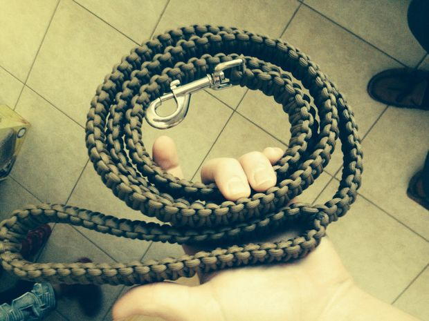 Heavy Duty DIY Dog Leash