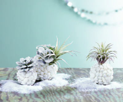 Winter Frost DIY Succulent Planters