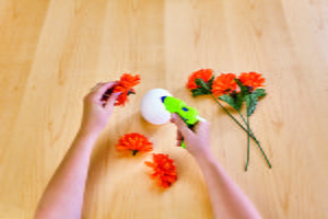 Flower Pumpkins