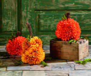 Flower Pumpkins