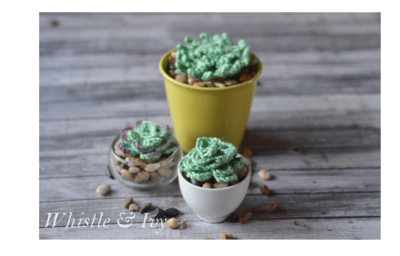 Quick and Easy Crochet Succulents