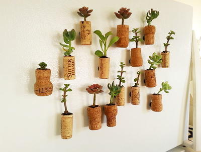 Succulent Wine Cork Planter Magnets