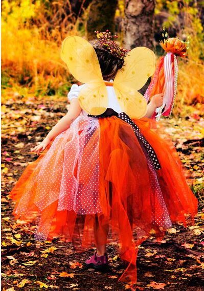 Fall Fairy Costume