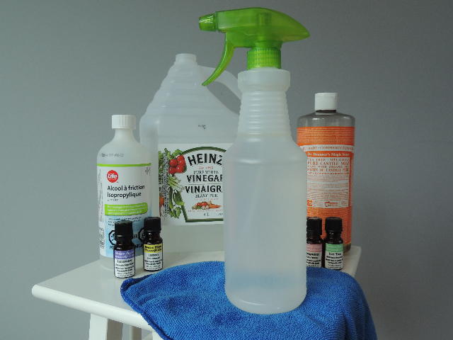 Homemade Window Cleaner | DIYIdeaCenter.com