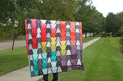 Black and White in Color Quilt