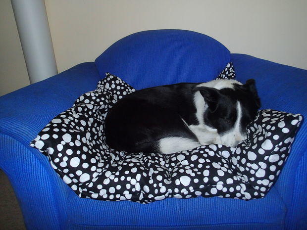 Giant Comfy Pillow Pet Bed DIYIdeaCenter.com