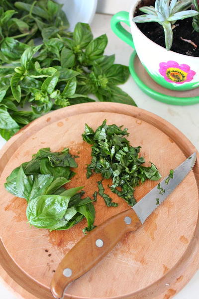How to Preserve Fresh Basil in Winter