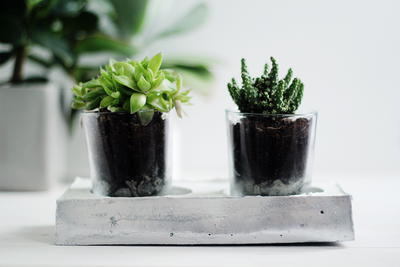 DIY Chrome and Concrete Garden Planter