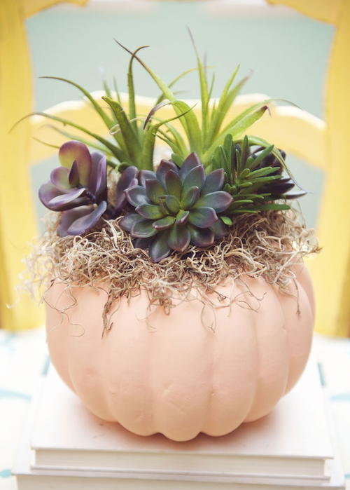 Faux Fall Succulent Pumpkin