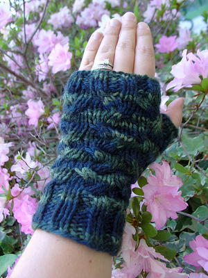 Roman Holiday Fingerless Mittens