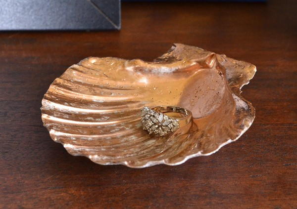 Seashell Jewelry Holder