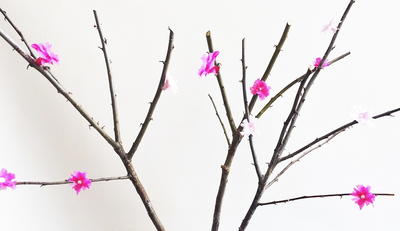 Simple and Sweet Paper Flower Branches