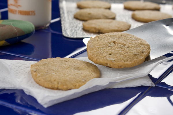 Icebox Walnut Cookies