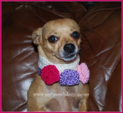 Little Roses Dog Collar
