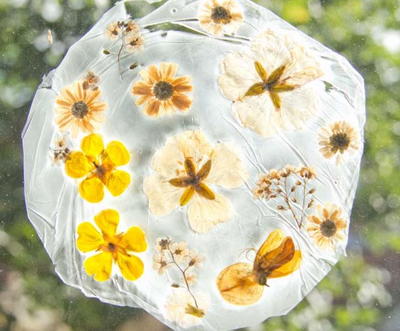 How to Make a Suncatcher With Real Flowers