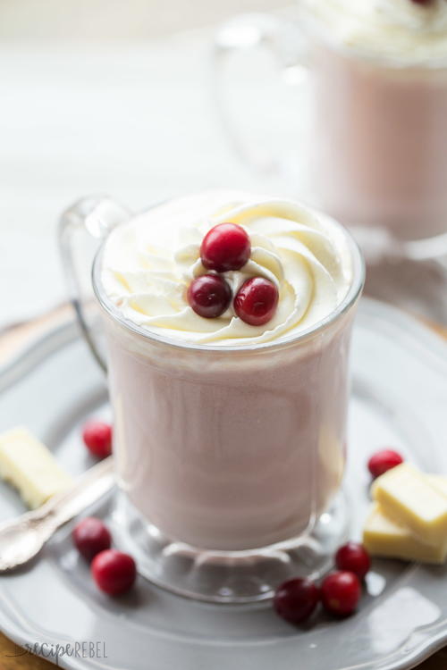 Slow Cooker Cranberry White Hot Chocolate | AllFreeSlowCookerRecipes.com